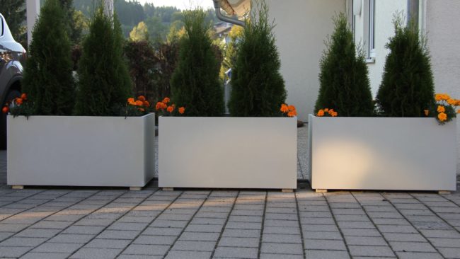 Kästen aus Beton richtig bepflanzen